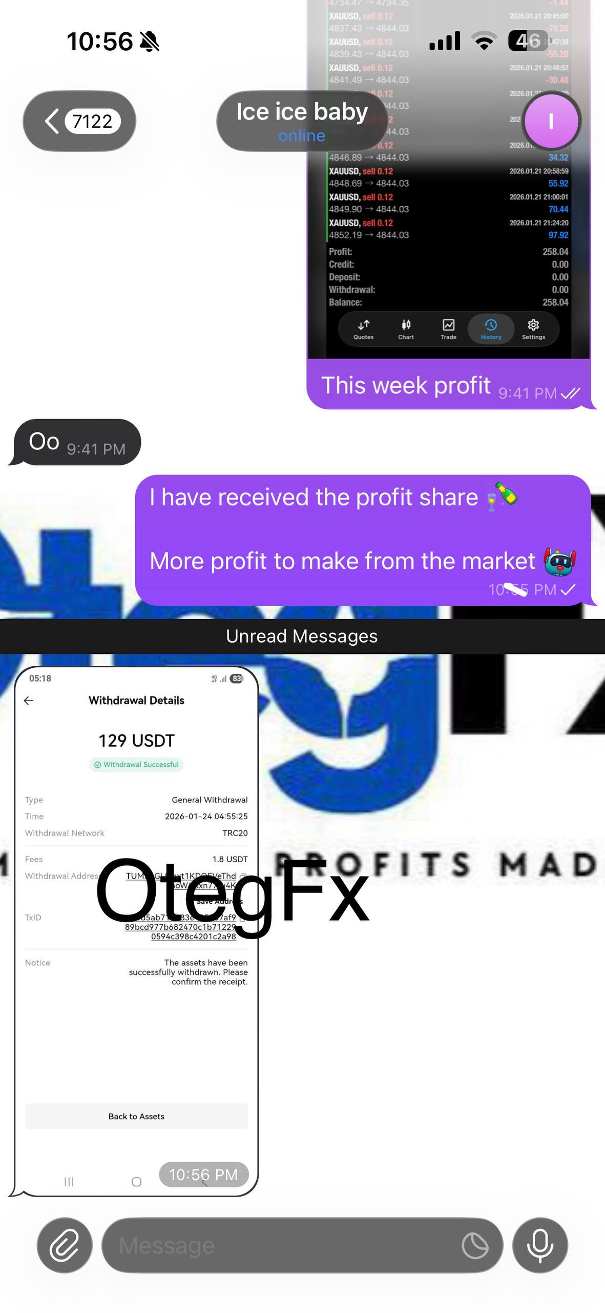 OtegFX client 129 USDT withdrawal profit share